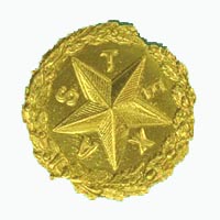 State of Texas star